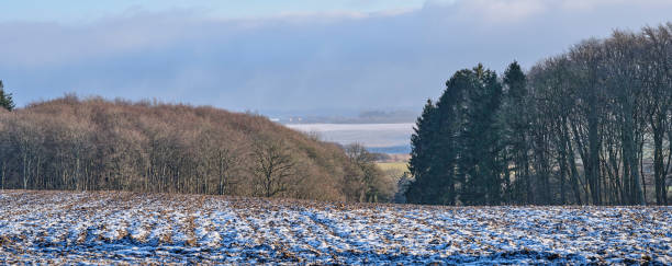 istock Winter dressed in snow and frost 1737969499