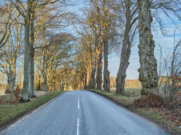 istock Danish nature in late wintertime. 1737969501