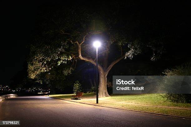 Solitario Polo Luce - Fotografie stock e altre immagini di Luce stradale - Luce stradale, Attrezzatura per illuminazione, Illuminato