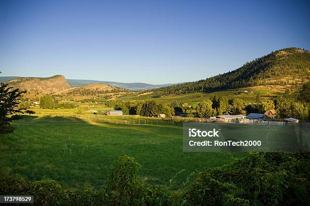Foto de Wine Country e mais fotos de stock de Agricultura - Agricultura, Ajardinado, Azul