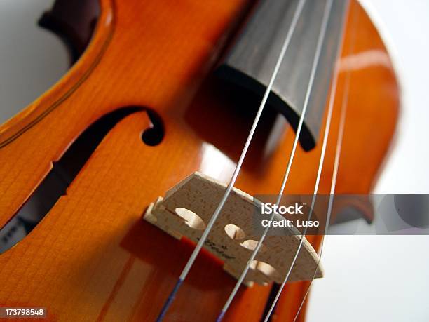 ストリングバイオリンシリーズ - エンタメ総合のストックフォトや画像を多数ご用意 - エンタメ総合, バイオリン, マクロ撮影