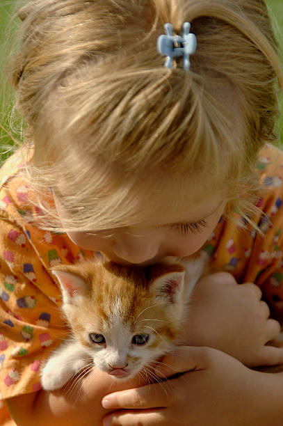 Girl and Her Cat stock photo