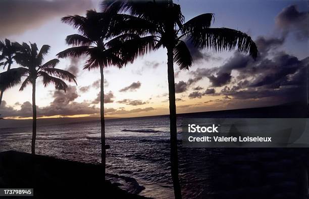 Foto de Pôr Do Sol Do Havaiano e mais fotos de stock de Características do litoral - Características do litoral, Coqueiro, Destino turístico