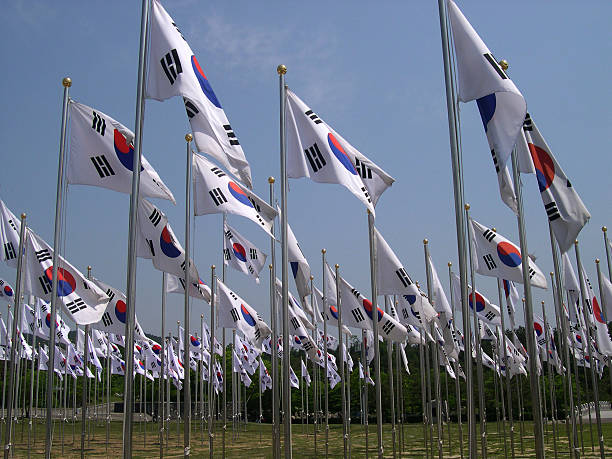 pole korei flags - south korea zdjęcia i obrazy z banku zdjęć