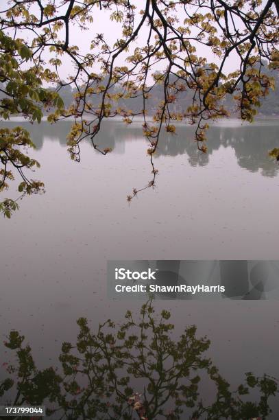 Árbol De Flores Foto de stock y más banco de imágenes de Hanoi - Hanoi, Asia, Ciudad de Ho Chi Minh