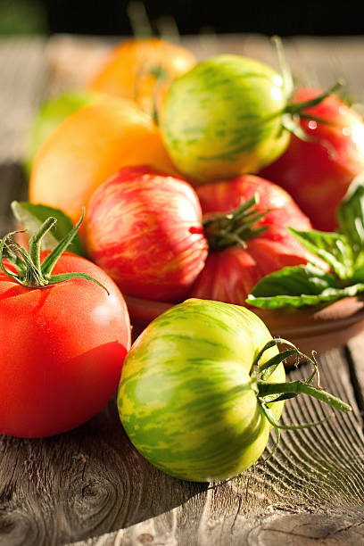 太陽の降り注ぐトマト - heirloom tomato zebra tomato tomato organic ストックフォトと画像