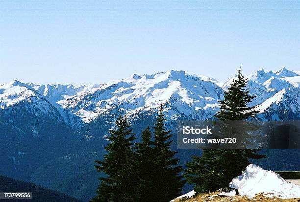 Photo libre de droit de Hurricane Ridge Dans Létat De Washington banque d'images et plus d'images libres de droit de Arbre - Arbre, Chaîne de montagnes, Concepts