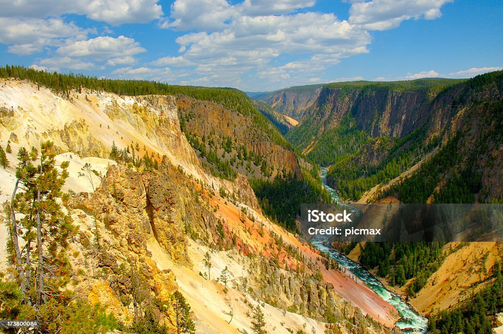 Canyon de Yellowstone - Royalty-free Agosto Foto de stock