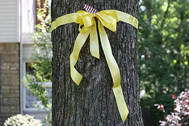 Photo of Yellow Ribbon Around Old Oak Tree