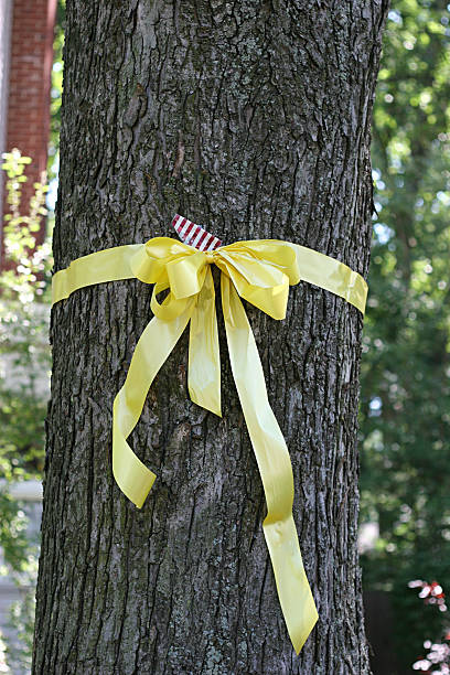 istock Yellow Ribbon Around Old Oak Tree - Vertical 173800127