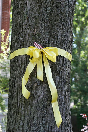 Yellow ribbon on oak tree