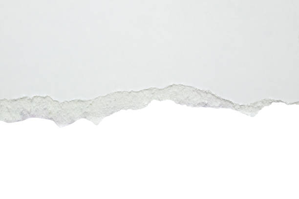 istock White ripped paper torn edges strips isolated on white background 1738001833