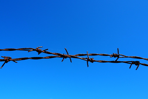 Barbed wire, wire, narrow strip of metal tape, with sharp spikes located on it, used to make barriers. Rusty barbed wire against the blue sky. The concept of war, restrictions on rights and freedoms
