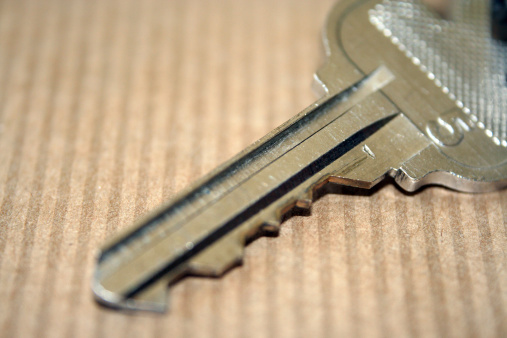 macro of house key