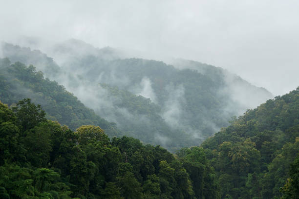 istock sea fog on the mountain hills 1738006147