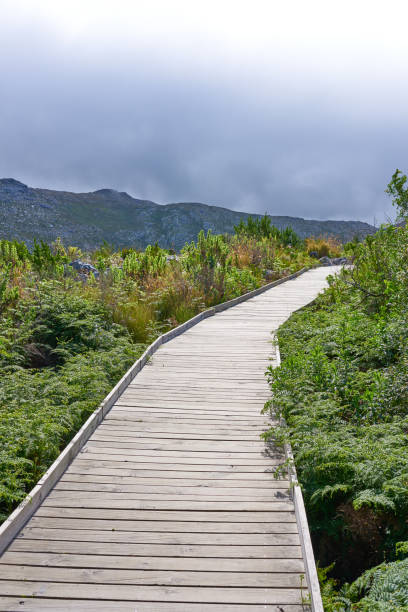 istock Mountain trails and roads - Western Cape 1738007878