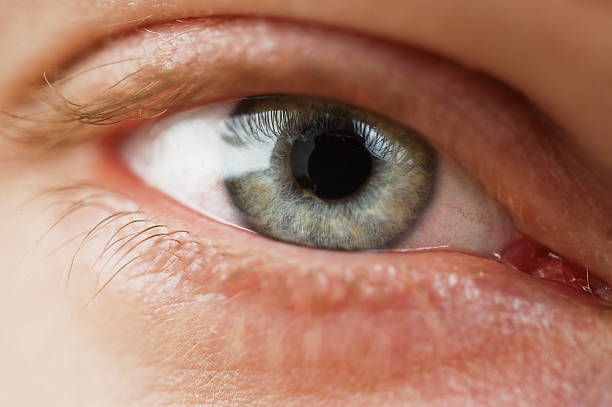 istock Close up of eye 173800796
