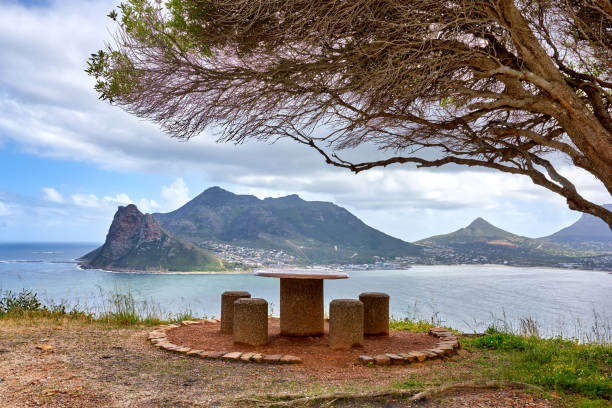 Trees and forest around Cape Town stock photo