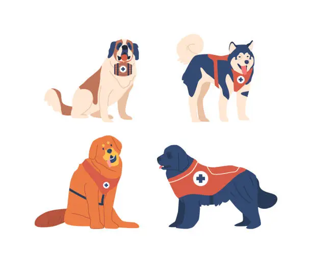 Vector illustration of Avalanche Rescue Dogs Are Highly Trained Canines Specialized In Locating And Rescuing Victims. Their Keen Senses