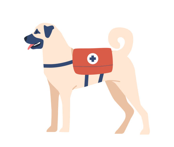 ilustrações, clipart, desenhos animados e ícones de cão de resgate avalanche com bolsa kit de primeiros socorros. canino heroico treinado para farejar e resgatar vítimas de avalanche - dog first aid first aid kit winter