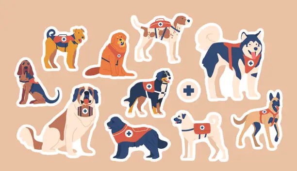 Vector illustration of Set of Avalanche Rescue Dogs Stickers. Trained Canines Specialized In Locating And Rescuing Victims, Patches