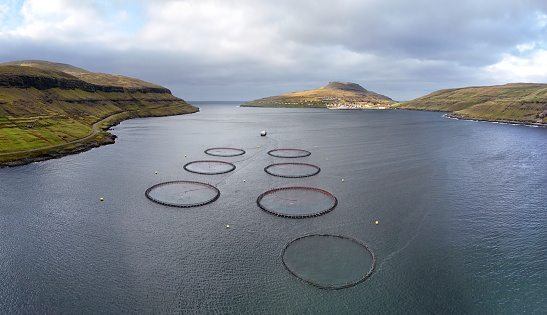Aerial view of an open water aquaculture salmon fishfarm outside of Haldorsvik in the bay between Streymoy and Eysturoy on Faroe Islands
