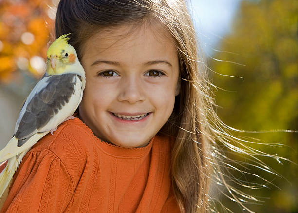 istock I Love My Cockatiel 173801128