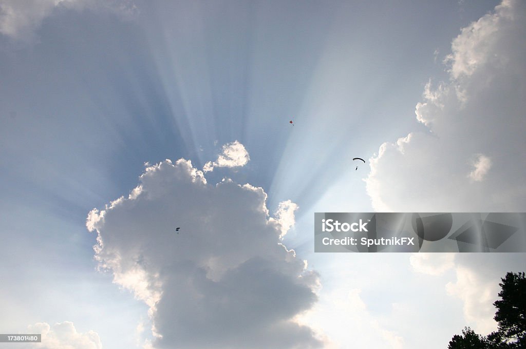 Dramatyczne niebo z Skydivers - Zbiór zdjęć royalty-free (Baldachim drzew)