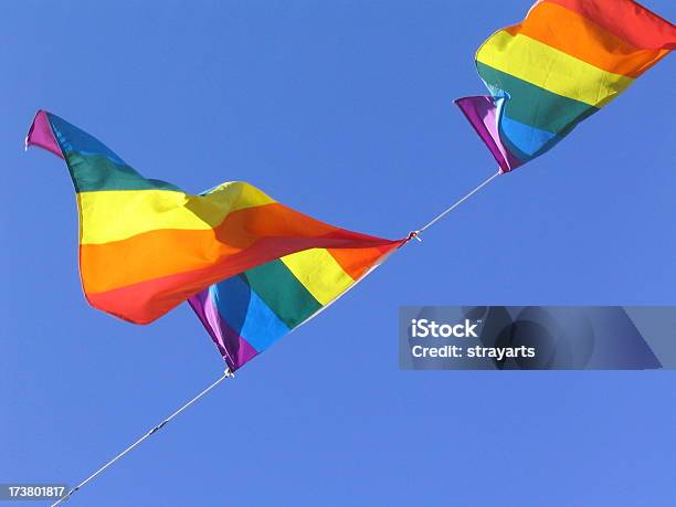게이 프라이드 3 프로빈스타운에 대한 스톡 사진 및 기타 이미지 - 프로빈스타운, Gay Pride Parade, LGBTQIA 문화