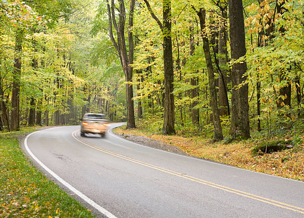 "smoky góra jesień drogi serii" - gatlinburg road winding road tennessee zdjęcia i obrazy z banku zdjęć