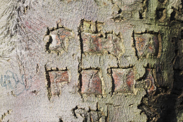 istock True love fails initials in bark obliterated 173802012