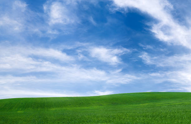 istock Panoramic spring landscape 78MPix XXXXL meadow, blue sky, clouds 173802157