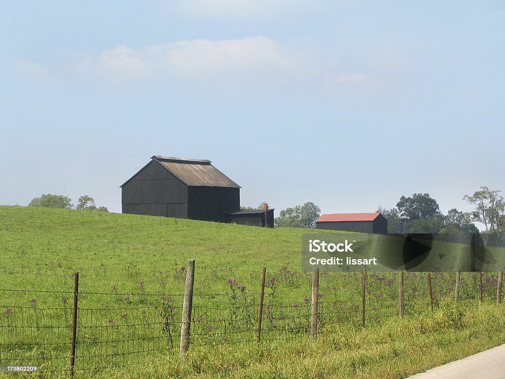 Grange-loin dans le Kentucky - Photo de Arbre libre de droits