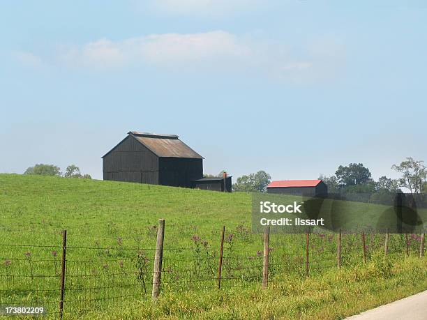 Photo libre de droit de Grangeloin Dans Le Kentucky banque d'images et plus d'images libres de droit de Arbre - Arbre, Au loin, Bleu