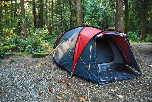 Tent Camping stock photo