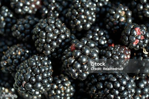 블랙 산딸기류 블랙베리에 대한 스톡 사진 및 기타 이미지 - 블랙베리, 0명, 검은색