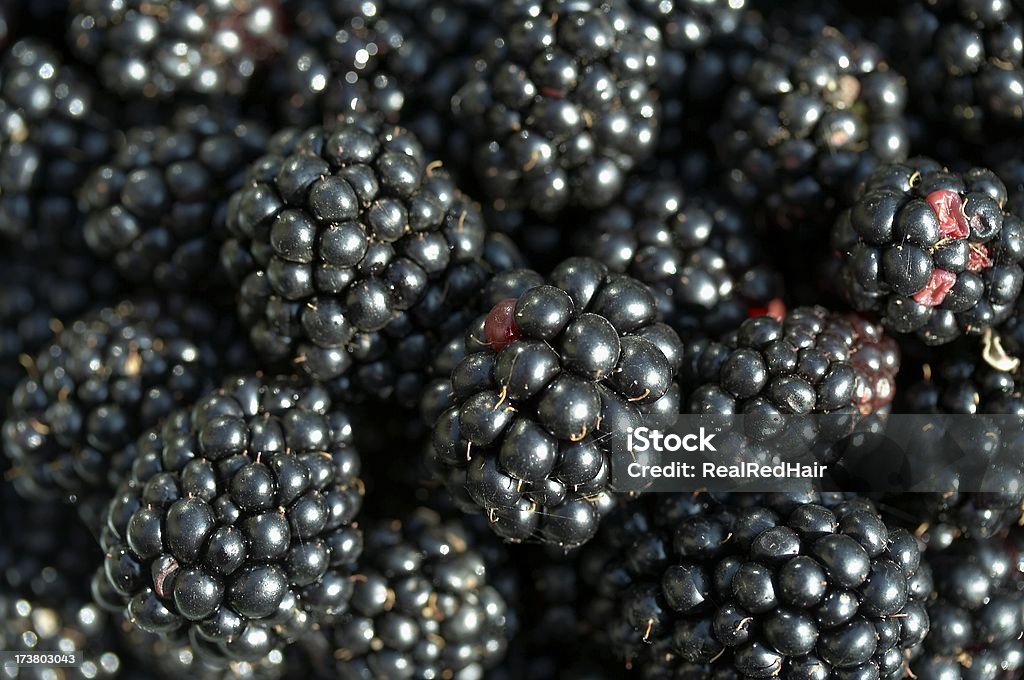 Preto berry - Royalty-free Amora Preta Foto de stock