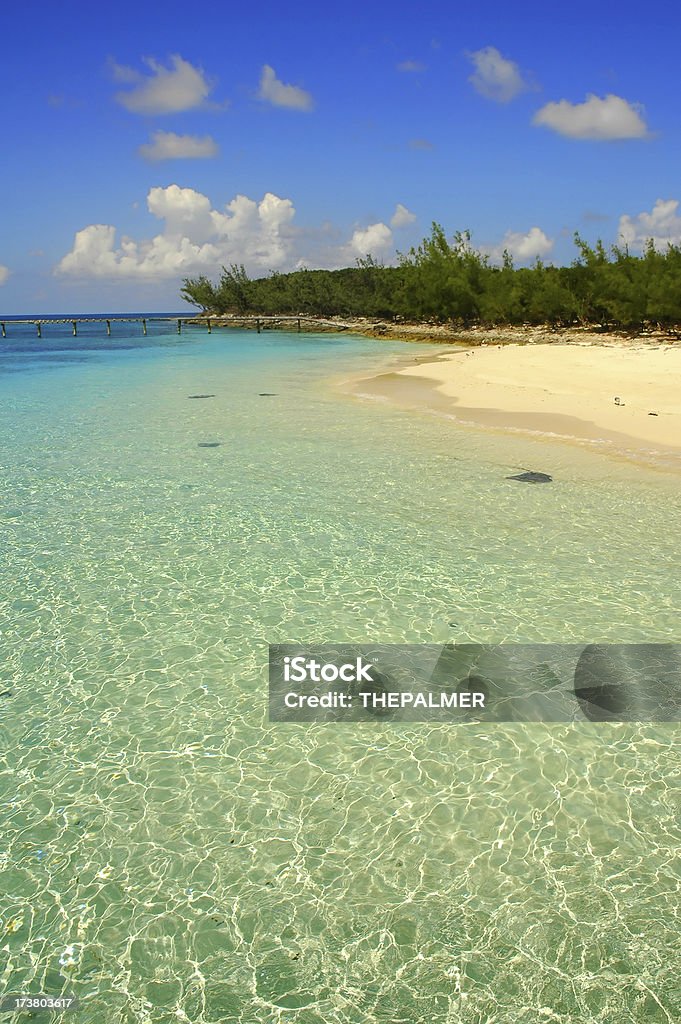 Plaża na Bahamach - Zbiór zdjęć royalty-free (Bez ludzi)