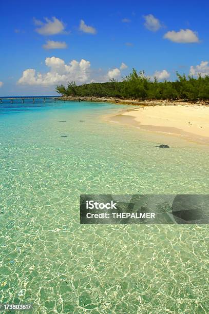 Plaża Na Bahamach - zdjęcia stockowe i więcej obrazów Bez ludzi - Bez ludzi, Brzeg wody, Fotografika