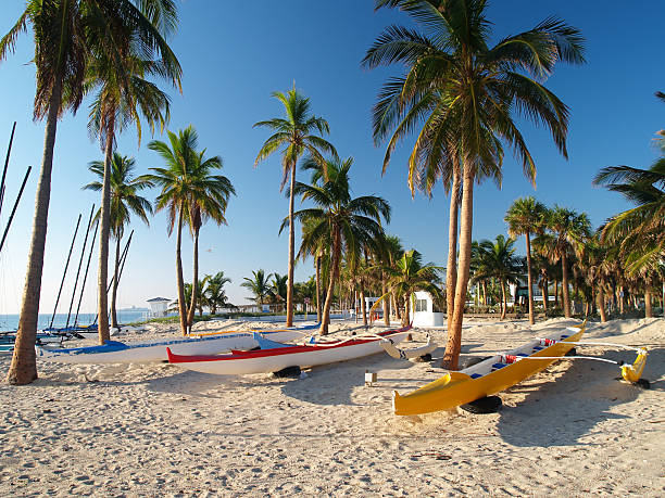 fort lauderdale mattina#2 - sunrise broward county florida foto e immagini stock