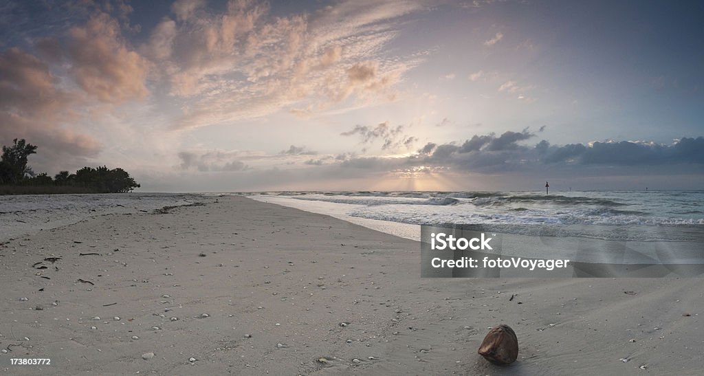 Coconut sunburst tropischen Strand - Lizenzfrei Golf von Mexiko Stock-Foto