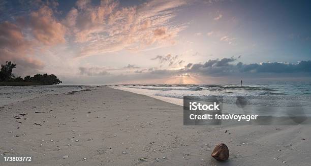 Sunburst Tropikalnej Plaży Kokos - zdjęcia stockowe i więcej obrazów Zatoka Meksykańska - Zatoka Meksykańska, Naples Beach - Florida, Stan Floryda