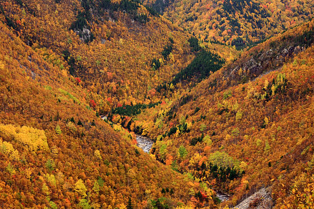 cape breton vale - nova scotia extreme terrain cape breton island landscape - fotografias e filmes do acervo