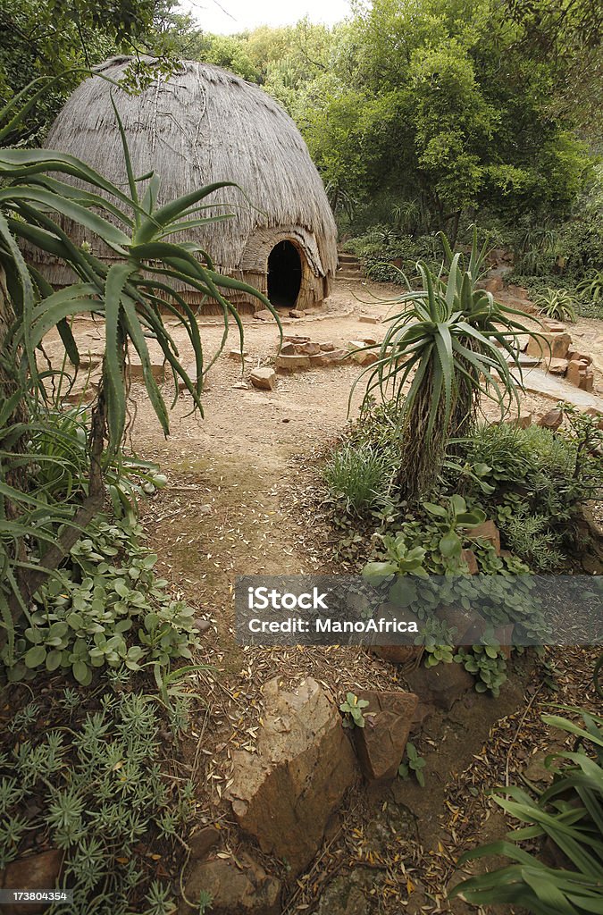 Tradycyjny Zulusi górach Południowej Afryki - Zbiór zdjęć royalty-free (Aloes)