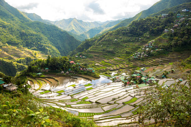 istock Batad rice terraces in Ifugao, Banaue, Philippines. 1738056635