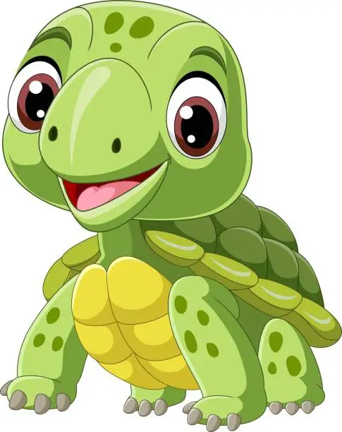 Vector illustration of Cartoon little turtle on white background