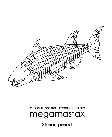 Megamastax, a Silurian period largest jawed vertebrate, a lobe-finned fish, black and white line art illustration. Ideal for both coloring and educational purposes