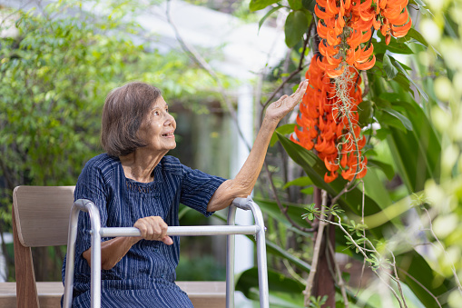 Smiling elderly woman in garden. Happy senior woman sitting on terrace with red jade vine flowers at home.