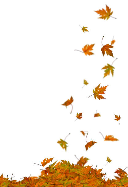 istock Border template with autumn leaves falling forming a pile 173811816