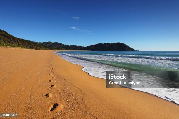Footprints In The Golden Sand Stock Photo - Download Image Now - New Zealand, Beach, Landscape - Scenery